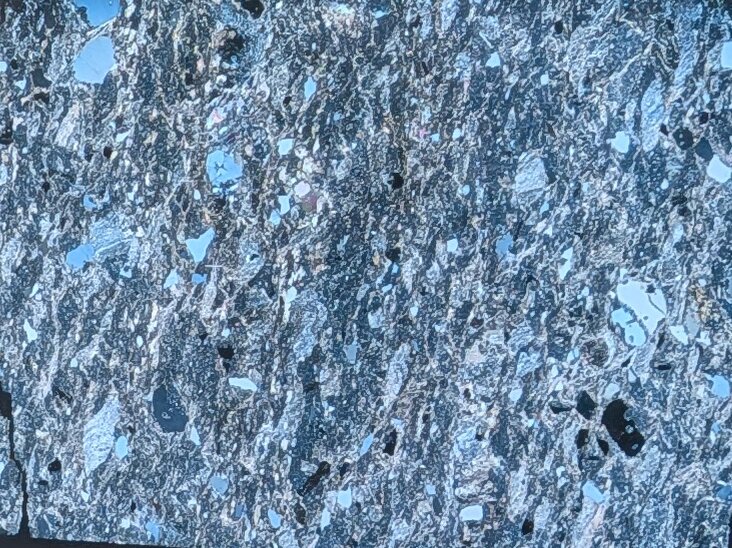 Photo prise au microscope Nikon