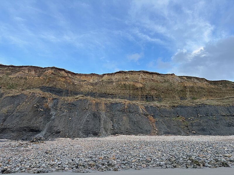 Photo d'une falaise présentant des alternances de niveaux marneux et de bancs gréseux, Wimereux, Hauts-de-France