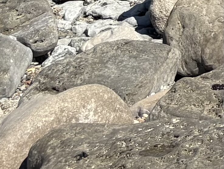 Photo d'une roche sur la plage 
