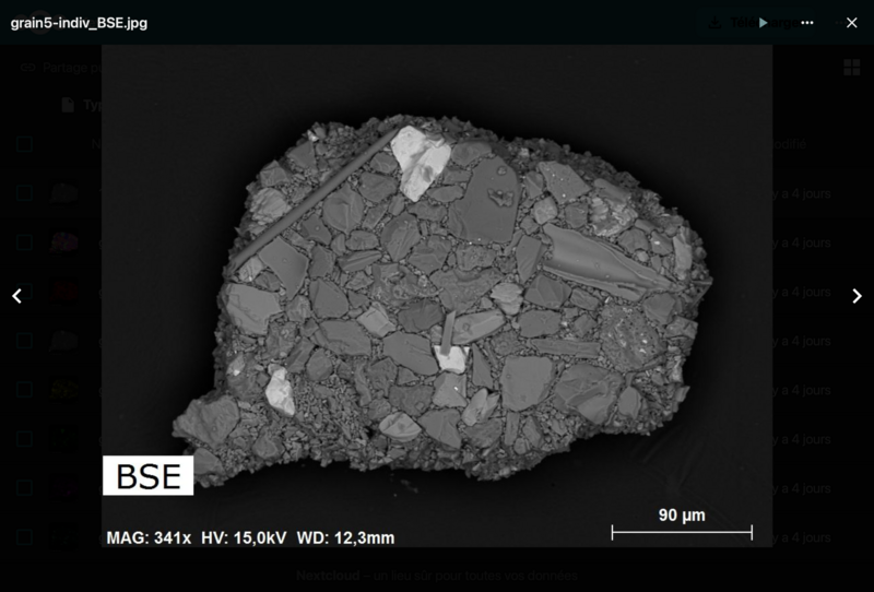 image au microscope électronique à balayage d'un grain détritique polyphasé